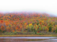 South Pond, Friday October 14, 2005