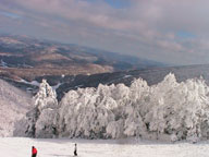 Heavy Snow in the Upper Elevations at Killington makes for a great opening day to the 2005-2006 ski season