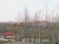 Twig Season in full bloom at Killington