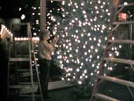 Lights strung on Christmas tree at Birch Ridge Inn