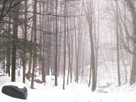 Day after Christmas fog at Killington