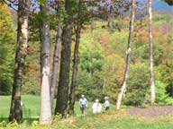 Golfers on Fifth Green at Killington Golf Course