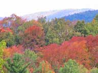 Fall colors alive in the Roaring Brook Valley at Killington