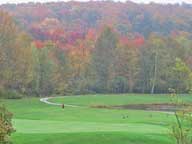 Geese on Hole 4 at Killington Golf Course