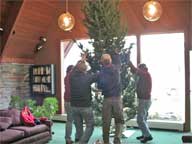 Raising the inn's Christmas Tree