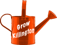 Grow Killington<br />The Killington Economic Growth Initiative