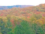 View from front hill at Birch Ridge looking across the Roaring Brook Valley