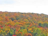 Beautiful fall colors behind Hole 5 on the Killington Resort Golf Course