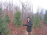 Over the river and through the woods, Mary leads the way as we hunt down Christmas Trees.