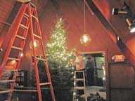 Mary putting lights on the Christmas Tree.