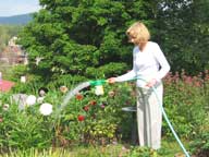 Mary watering flower gardens at the Birch Ridge Inn at Killington