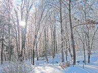 Ice glistening in back of the Birch Ridge Inn at Killington. Notice the snow stake in the middle of the frame.