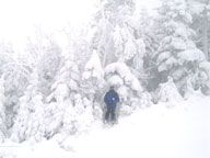 Paul coming out of woods between Summit Glades and Forty Niner