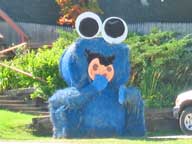 Cookie Monster at the Sunup Bakery on the Killington Road..