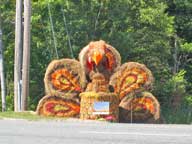 Turkey Hay Sculpture at Lookout Bar and Grill