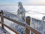 Cloud deck surrounding Killington.  Taken Sunday January 17, by Andrew Cooley