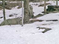 Natural snow cover still covers grounds around the Birch Ridge Inn at Killington.  Pictured is the snow stake in the back of the inn.