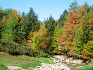 Roaring Brook back peacefully babbling in it's banks on the Killington Golf Course.