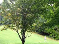 Mary on the 7th tee at Green Mountain National Golf Course with the leave starting to turn on the trees.