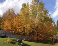 Trees around Carriageway at Birch Ridge Inn still showing color