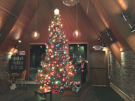 Mary putting the finishing touches on the 2014 Birch Ridge Inn Christmas Tree