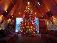 The 2016 Birch Ridge Inn Christmas Tree