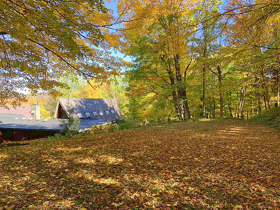 Leaves falling behind the inn.Twig season on the way!
